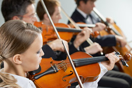 Violon